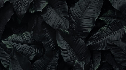 Dark leaves background