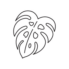 Monstera Leaf or Leaves Collection 9