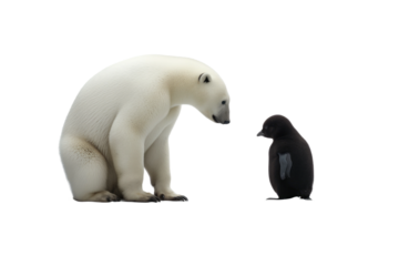 Animal Frozen Friendship Penguin Polar Bear Union on a White or Clear Surface PNG Transparent Background