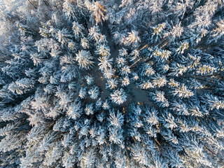Aerial view of a snow-covered winter wonderland forest in southern Bavaria, Germany