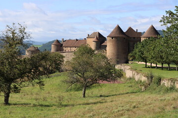 Fototapeta na wymiar Chateau de Berzé le Chatel Bourgogne