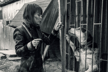 Dog in a shelter. An animal shelter volunteer takes care of dogs. A volunteer takes care of a dog at a shelter. Black white image