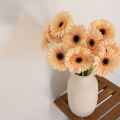 Beautiful pale gerbera flowers bouquet on wooden stool over white wall. Aesthetic minimal floral composition - obrazy, fototapety, plakaty