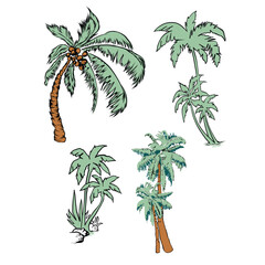 Palm tree illustration pack