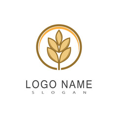 Fototapeta na wymiar Agriculture wheat logo vector template symbol design