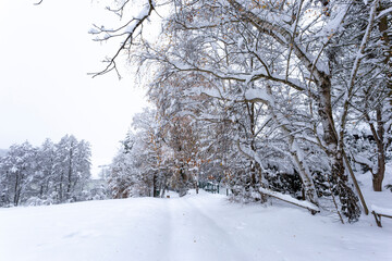 Winter trail shortly after strong snowfall. Europe.