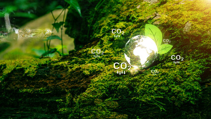 World environment day concept. Globe Glass. sustainable development CO2 icon . World, earth day, ecology renewable energy. Environmental protection renewable energy, green business