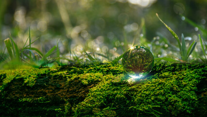 World Environment Day concept. Globe Glass with big tree. Green business, ESG, renewable energy...