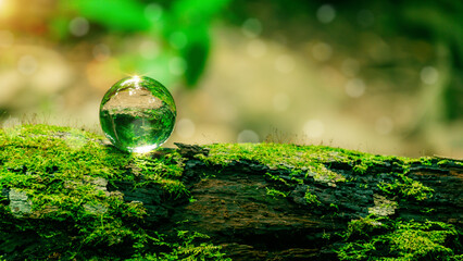 World environment day concept. Globe Glass . Circular economy renewable energy . Sustainable...