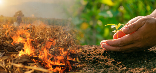 World environment concept Planting trees with hands and flames. Global warming. Sustainable...