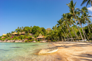 Empty calm sunny sandy tropical Sairee beach on exotic Koh Tao island in Thailand. Picturesque peaceful shoreline with palms, clear transparent sea water and blue sky