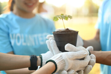 Group of volunteers planting trees in park symbolizing their commitment to environmental...