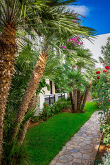 Fototapeta na wymiar A delightful garden graces the space next to the house, showcasing an abundance of Mediterranean plants that infuse the surroundings with vibrant colors and rich textures.
