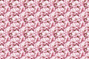 Seamless pattern with pink magnolia illustration