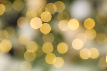 Blurred christmas tree branches and lights on white background