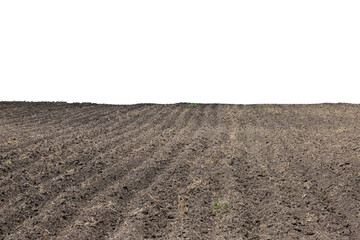 Pattern of rows in a plowed field on an isolated white background. Transparent background. PNG.