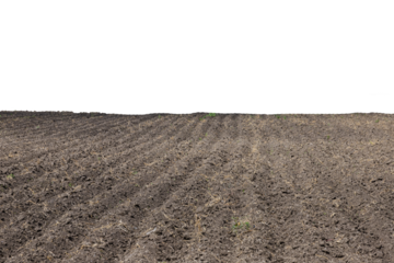 Pattern of rows in a plowed field on an isolated white background. Transparent background. PNG.