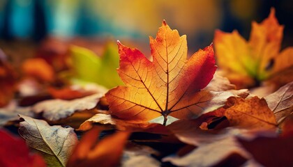 Naklejka na ściany i meble Autumn Leaves Macro Shot