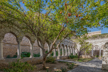Cloister of Saint John of the Hermits church, city of Palermo IT	 - 687878979