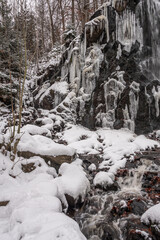 Fototapeta na wymiar Eisige Kälte am Wasserfall im Harz, zum Teil hängen schon große Eiszapfen am Wasserfall herab ein teil fließt aber noch herab und wird in die Radau geleitet