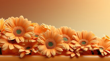 Orange Gerber, HD, Background Wallpaper, Desktop Wallpaper