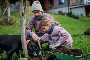 Girl and father planting tree in garden in the spring, using compost. Concept of sustainable gardening family gardening.