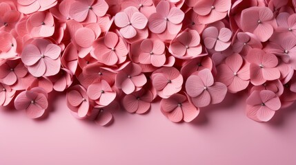 Pink Hydrangea Flower Macrophylla, HD, Background Wallpaper, Desktop Wallpaper