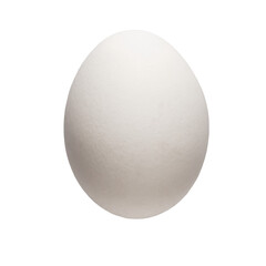 One white chicken egg isolated on transparent background, png
