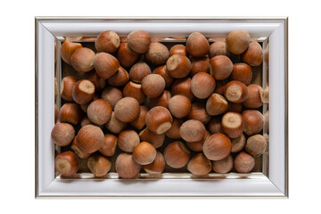 Lots of hazelnut nuts in a white box, picture or photo frame, isolated on transparent background, png. Product decor for interior or advertising.
