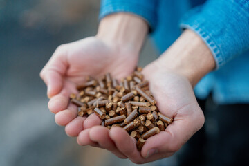 Handful of wood pellets in palms. Man holding pellet fuels in hands, palms. Reusing wooden industrial waste.