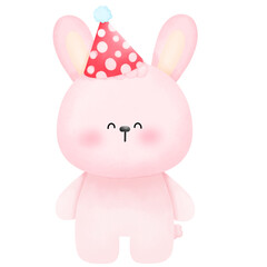 Rabbit wearing a party hat