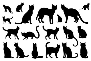 Set of vector isolated silhouettes of cats for your design - obrazy, fototapety, plakaty
