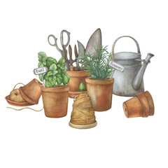 Old twine holders, vintage garden tools, watering can, terracotta ceramic pots with rosemary and basil plant - farmhouse decor. Hand drawn watercolor painting illustration isolated on white background - 687890739