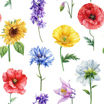 Seamless pattern with summer wildflowers watercolor. Floral design elegant botanical background. Colorful Garden flowers