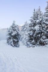 Bansko, Bulgaria resort panorama with snow cannon
