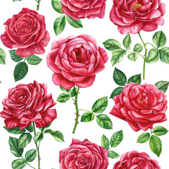 Red roses, Seamless pattern with delicate flower, watercolor painting. Floral design, botanical background, garden flora