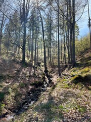 Polska złota jesień. Piękna Polska przyroda.  © marriaci_photo