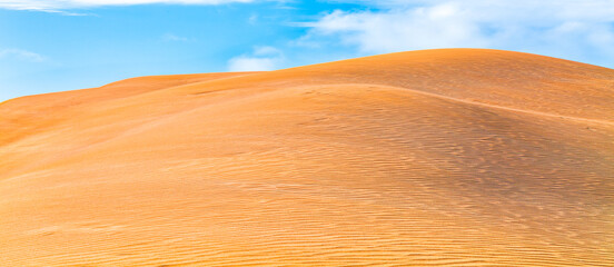 Solitude in nature: desert landscape, sand dunes, and clear sky.