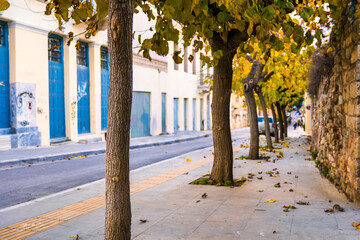  Autumn city street with buildings, trees, and sidewalk.