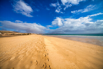 Fototapeta na wymiar A tranquil beach with blue sky and clear water's edge.