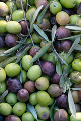 food background with fresh ripe olive fruits