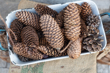 top view dried pine cones on table