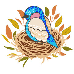 Hand drawn set art of bird nest