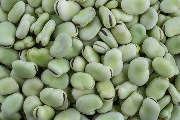 fresh raw green broad beans background