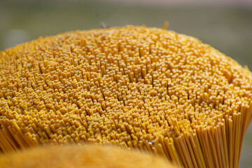This is the incense stick raw material close up macro shot in the day time in india.