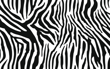 Zebra or tiger stripes texture. Animal skin pattern in black and white. Abstract wallpaper for apparel dress clothes fabric print. Vector background