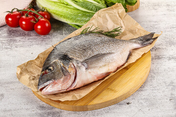 Raw dorada fish served rosemary