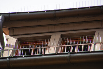 Needles for protection against pigeons and other birds on the gutter pipes