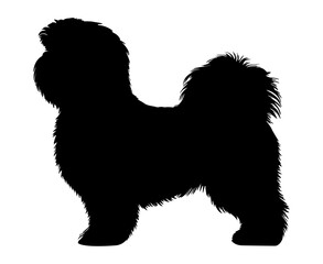 Shih Tzu Dog silhouette. Vector illustration