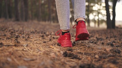 girl walks through the forest. nature dream concept. a girl in light jeans and red sneakers walks...